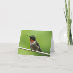 Hummingbird Notecard Bedankkaart