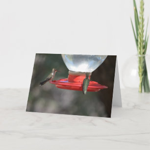 Hummingbird Notecard Kaart