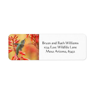Hummingbird omringd door rode yucca etiket