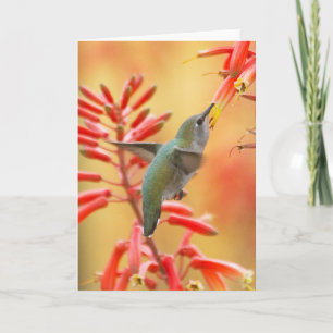 Hummingbird omringd door rode yucca feestdagen kaart