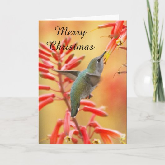 Hummingbird omringd door yucca, kerst feestdagen kaart (Voorkant)