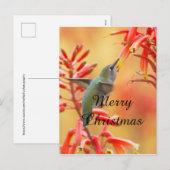 Hummingbird omringd door yucca, prettige kerst feestdagenkaart (Voorkant / Achterkant)