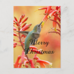 Hummingbird omringd door yucca, prettige kerst feestdagenkaart