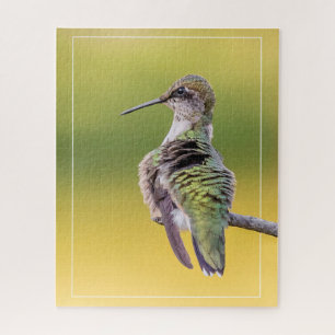 Hummingbird on Alert Legpuzzel
