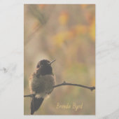 Hummingbird on Branch Warm Yellow Green Colors Briefpapier (Voorkant)