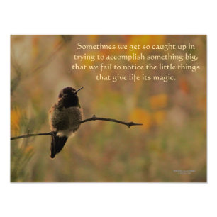 Hummingbird on Branch Warm Yellow Green Colors Foto Afdruk