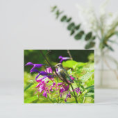 Hummingbird on Hummingbird Mint Briefkaart (Staand voorkant)