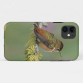 Hummingbird on pine Case-Mate iPhone case (Achterkant (horizontaal))