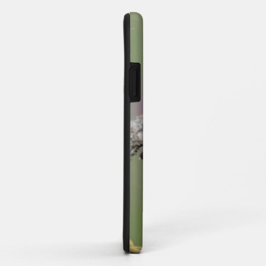 Hummingbird on pine Case-Mate iPhone case (Achterkant/rechts)