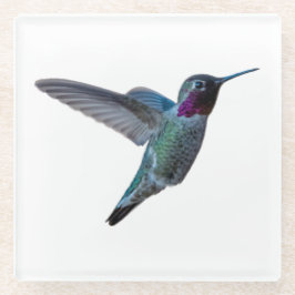 Hummingbird Onderzetter - Design A