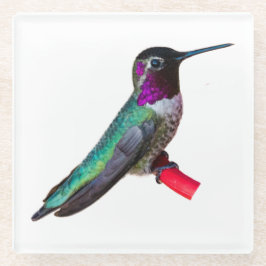 Hummingbird Onderzetter - Design B Glazen Onderzetter