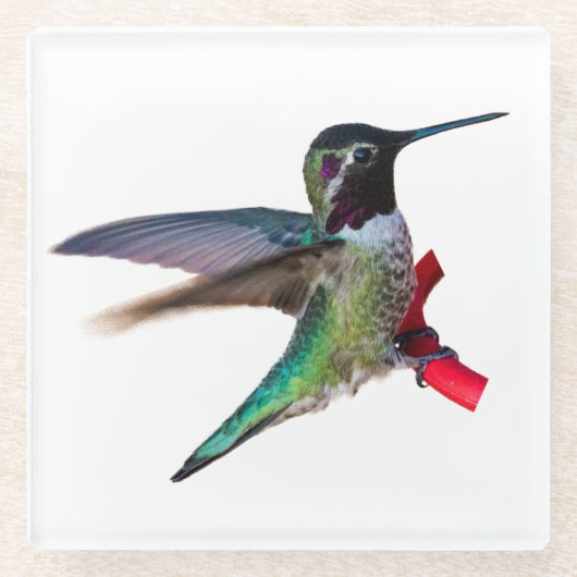 Hummingbird Onderzetter - Design C Glazen Onderzetter (Voorkant)