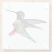 Hummingbird Onderzetter - Design C Glazen Onderzetter (Achterkant)