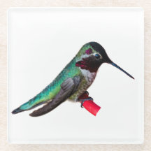 Hummingbird Onderzetter - Design D