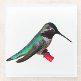 Hummingbird Onderzetter - Design D Glazen Onderzetter