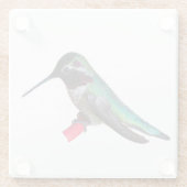 Hummingbird Onderzetter - Design D Glazen Onderzetter (Achterkant)