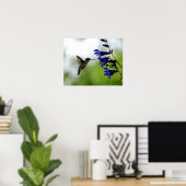 Hummingbird op Blue Salvia Poster (Thuiskantoor)