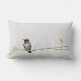 Hummingbird op Branch Kussen