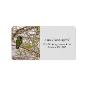 Hummingbird op Branch Spring Time Green Colors Etiket