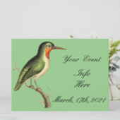 Hummingbird op Branch Thunder_Cove (Staand voorkant)