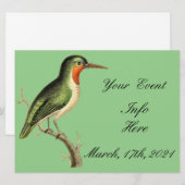 Hummingbird op Branch Thunder_Cove (Voorkant / Achterkant)