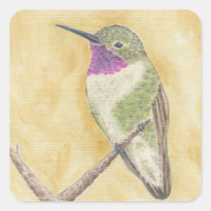 Hummingbird op een sticker van de Tak