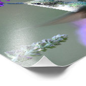 Hummingbird op een vlindervlieger struik foto afdruk (Hoek)