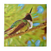 Hummingbird op evergreen tegeltje (Voorkant)
