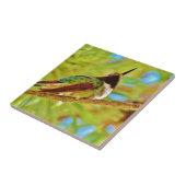 Hummingbird op evergreen tegeltje (Zijkant)
