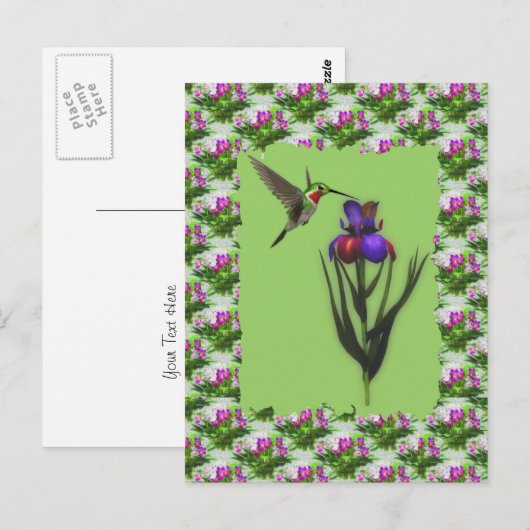 Hummingbird op Iris Flower Briefkaart (Voorkant / Achterkant)