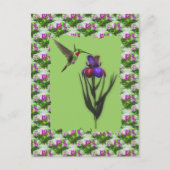 Hummingbird op Iris Flower Briefkaart (Voorkant)