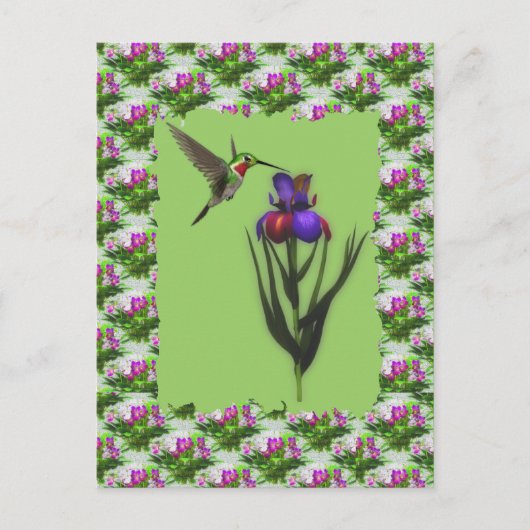 Hummingbird op Iris Flower Briefkaart (Voorkant)