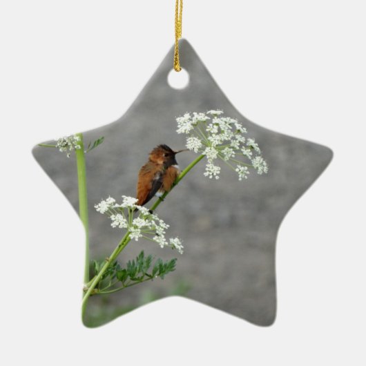 Hummingbird op koninginnenbloem keramisch ornament (Voorkant)