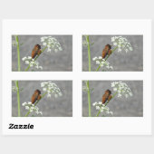 Hummingbird op koninginnenbloem rechthoekige sticker (Vel)