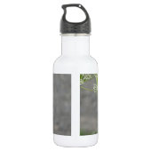 Hummingbird op koninginnenbloem waterfles  (Achterkant)