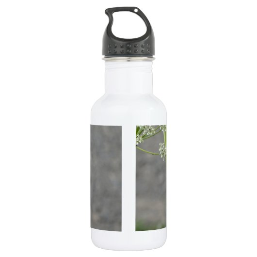 Hummingbird op koninginnenbloem waterfles  (Achterkant)