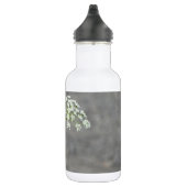 Hummingbird op koninginnenbloem waterfles  (Rechts)