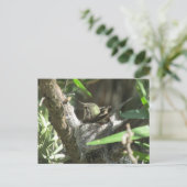 Hummingbird op Nest Briefkaart (Staand voorkant)