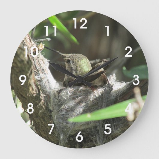 Hummingbird op Nest Grote Klok (Voorkant)