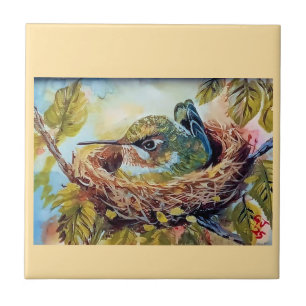 Hummingbird op Nest Tegeltje