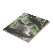 Hummingbird op Nest Tegeltje (Zijkant)