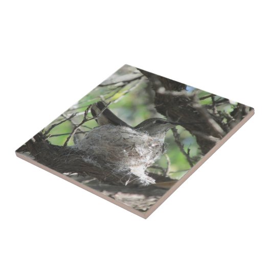 Hummingbird op Nest Tegeltje (Zijkant)