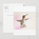 Hummingbird op roze briefkaart (Voorkant / Achterkant)