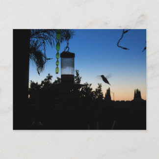 Hummingbird op Sunset Briefkaart