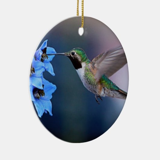 HUMMINGBIRD ORNAMENT (Rechts)