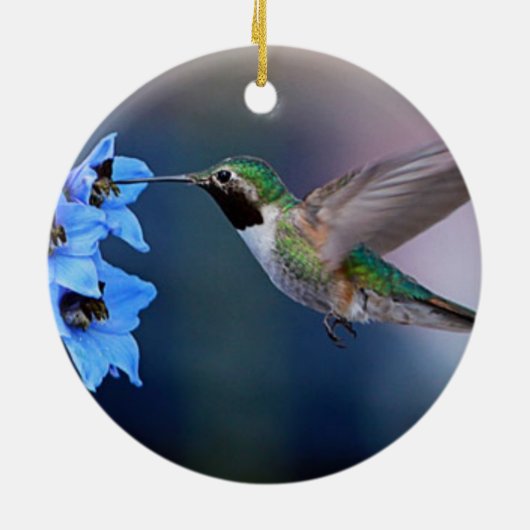 HUMMINGBIRD ORNAMENT (Achterkant)