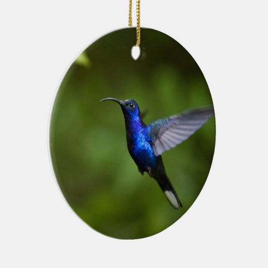 HUMMINGBIRD ORNAMENT (Rechts)