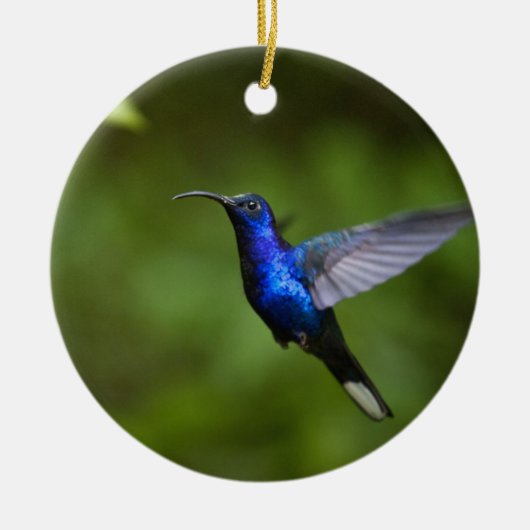 HUMMINGBIRD ORNAMENT (Voorkant)