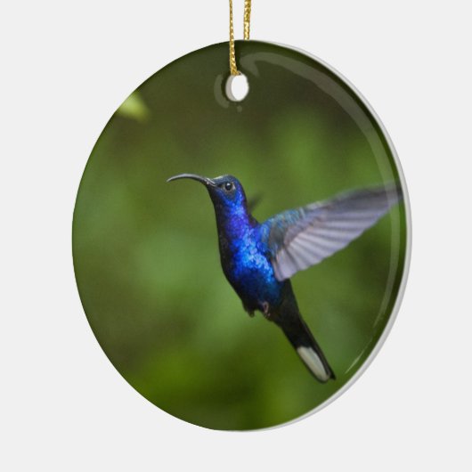 HUMMINGBIRD ORNAMENT (Links)