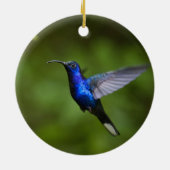 HUMMINGBIRD ORNAMENT (Achterkant)